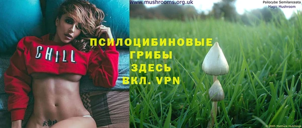 скорость Няндома